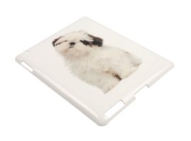 Slika Torbica PREMIUM za Ipad 2