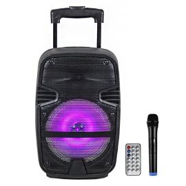 "Bluetooth zvucnik NDR-A15 15" 40W"